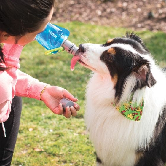 Vapur Ez Lick Portable Dog Wasserflasche - Water