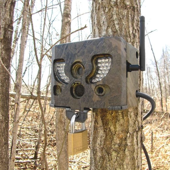 SpyPoint SB-T Sicherheitsgehäuse Camo